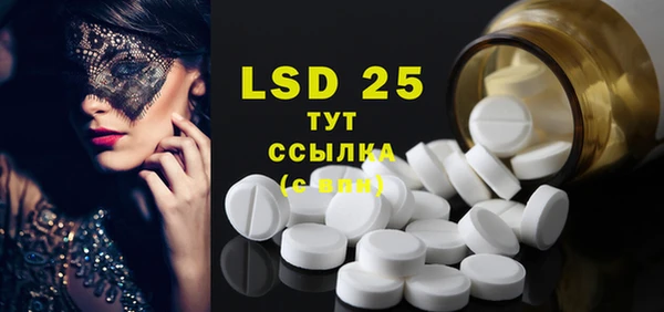 ECSTASY Алзамай