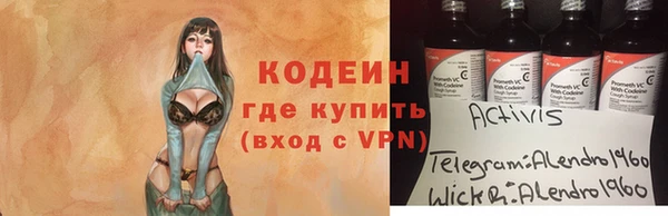 хмурый Арсеньев