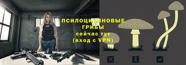 круглые Алексеевка