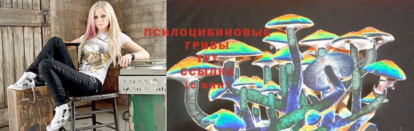 хмурый Арсеньев