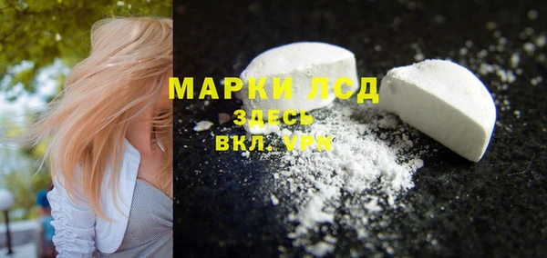 ECSTASY Алзамай