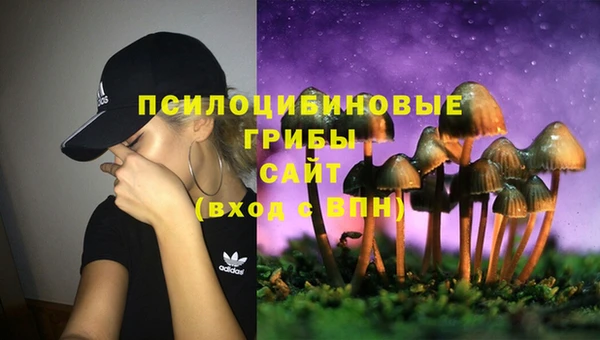 мяу мяу мука Россошь