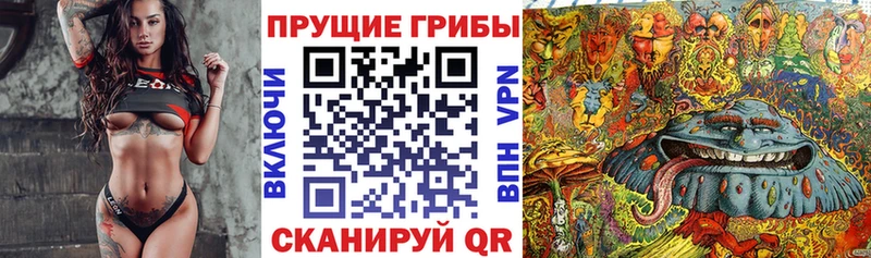 Галлюциногенные грибы прущие грибы  наркота  mega ссылка  Выкса 